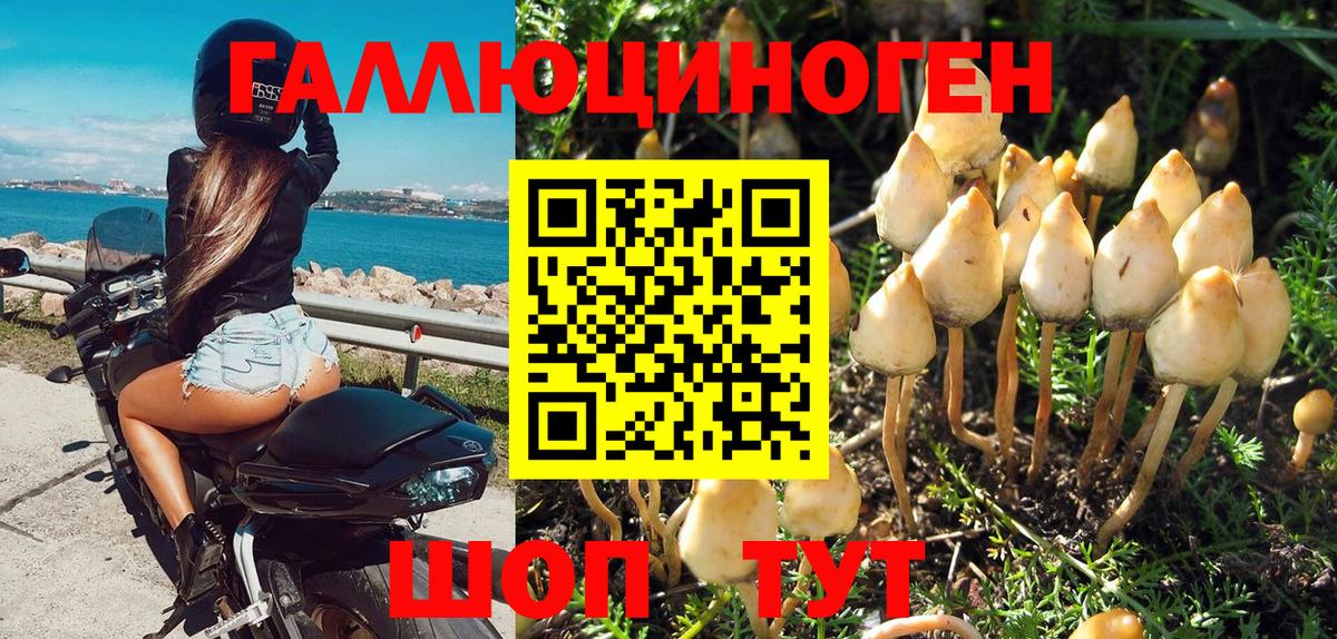 Псилоцибиновые грибы GOLDEN TEACHER Ялта